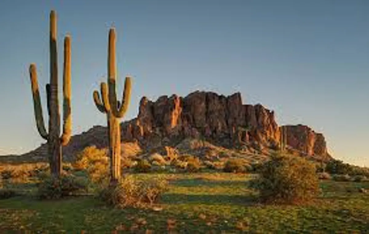 A breathtaking exterior view featuring iconic saguaro cacti, rugged mountains, and the landscape bathed in golden sunlight. The scene evokes the serenity and natural grandeur of the Superstition Wilderness, suggesting endless opportunities for hiking, photography, and immersion in nature.